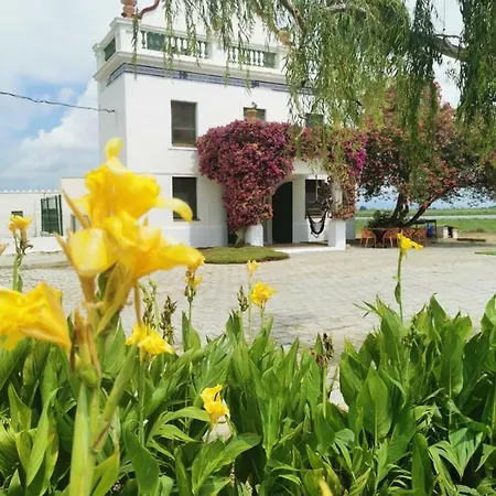 Villa Els Flamencs *